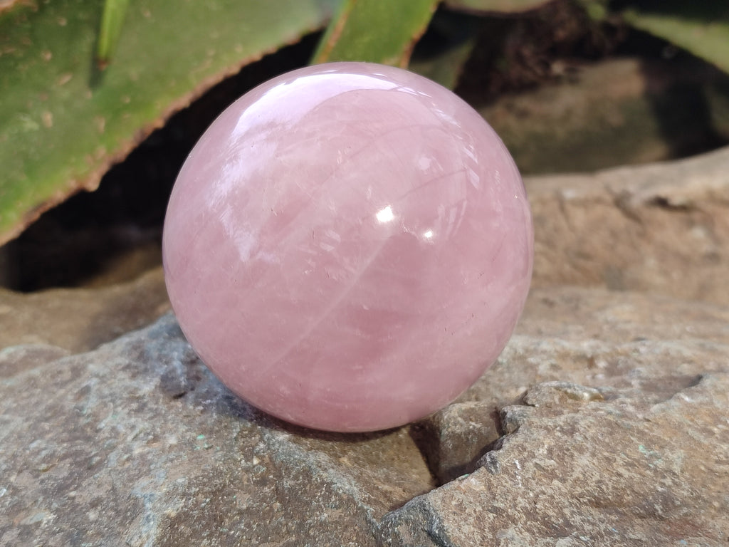 Polished Rose Quartz Spheres x 3 From Ambatondrazaka, Madagascar - Toprock Gemstones and Minerals 
