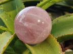 Polished Rose Quartz Spheres x 3 From Ambatondrazaka, Madagascar - Toprock Gemstones and Minerals 