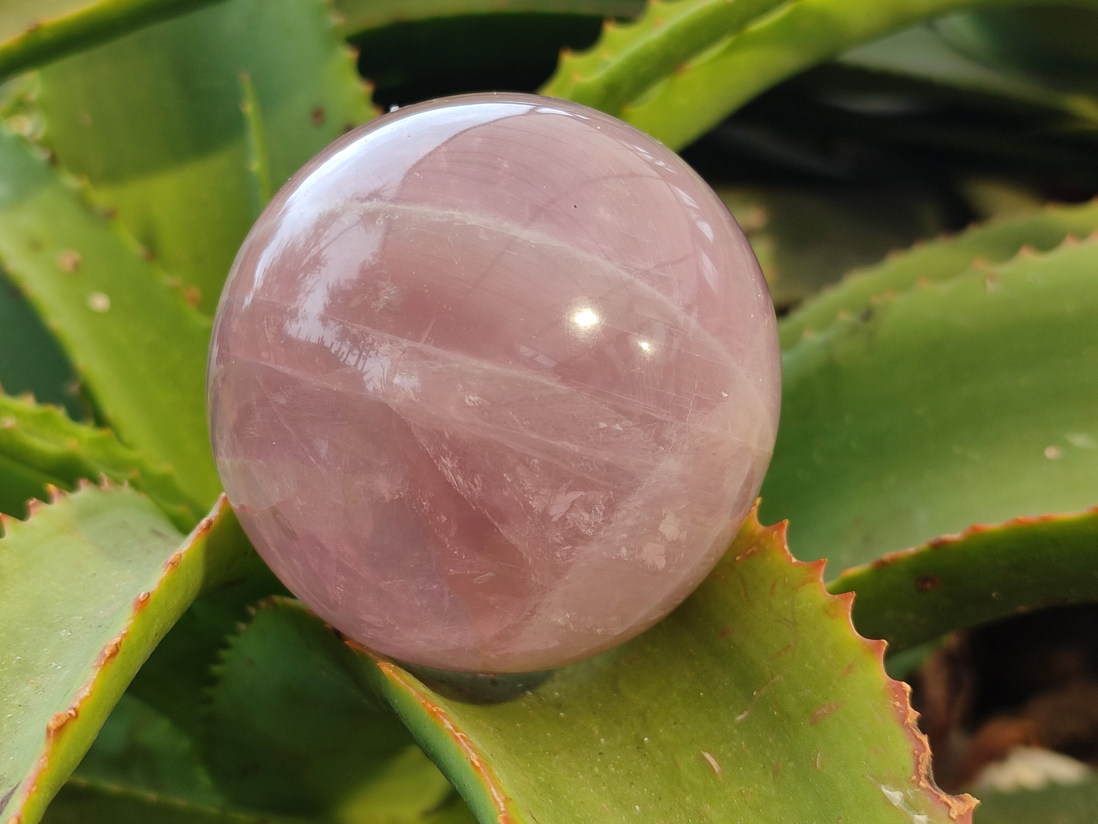 Polished Rose Quartz Spheres x 3 From Ambatondrazaka, Madagascar - Toprock Gemstones and Minerals 