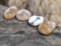 Polished Fossil Flower Agate Cabochons x 70 From Antsahalova, Madagascar