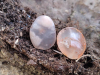 Polished Fossil Flower Agate Cabochons x 70 From Antsahalova, Madagascar