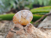 Polished Fossil Flower Agate Cabochons x 70 From Antsahalova, Madagascar