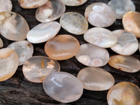 Polished Fossil Flower Agate Cabochons x 70 From Antsahalova, Madagascar