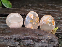 Polished Fossil Flower Agate Cabochons x 70 From Antsahalova, Madagascar