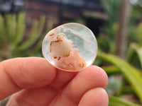 Polished Fossil Flower Agate Cabochons x 70 From Antsahalova, Madagascar