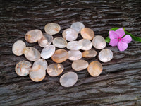 Polished Fossil Flower Agate Cabochons x 70 From Antsahalova, Madagascar