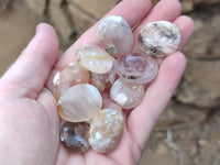 Polished Fossil Flower Agate Cabochons x 70 From Antsahalova, Madagascar