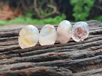 Polished Fossil Flower Agate Cabochons x 70 From Antsahalova, Madagascar