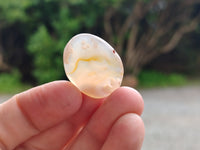 Polished Fossil Flower Agate Cabochons x 70 From Antsahalova, Madagascar