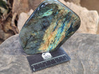 Polished Labradorite Standing Free Forms x 2 From Tulear, Madagascar - Toprock Gemstones and Minerals 
