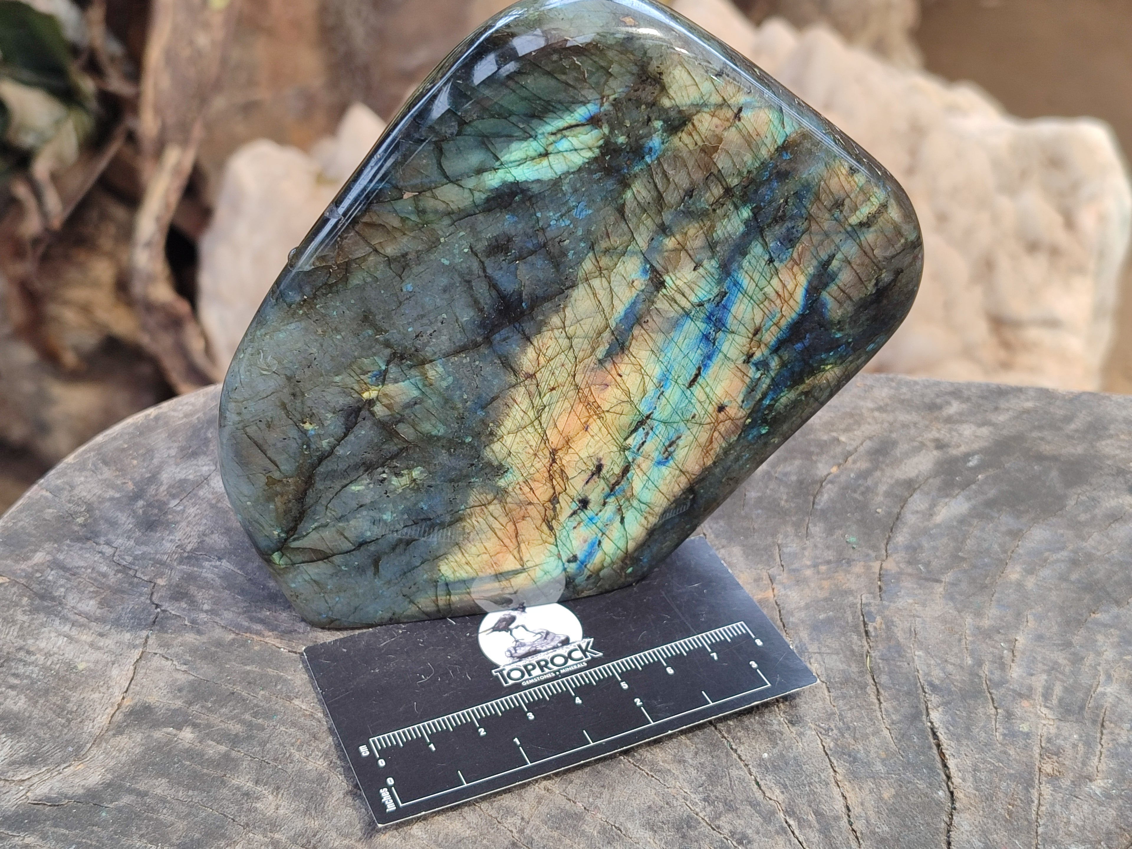 Polished Labradorite Standing Free Forms x 2 From Tulear, Madagascar - Toprock Gemstones and Minerals 