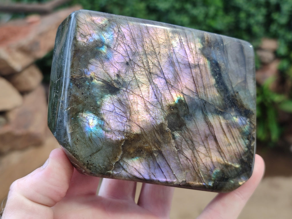 Polished Labradorite Standing Free Forms x 2 From Tulear, Madagascar - Toprock Gemstones and Minerals 