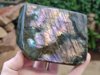 Polished Labradorite Standing Free Forms x 2 From Tulear, Madagascar