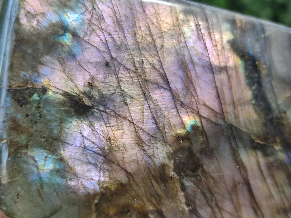 Polished Labradorite Standing Free Forms x 2 From Tulear, Madagascar - Toprock Gemstones and Minerals 