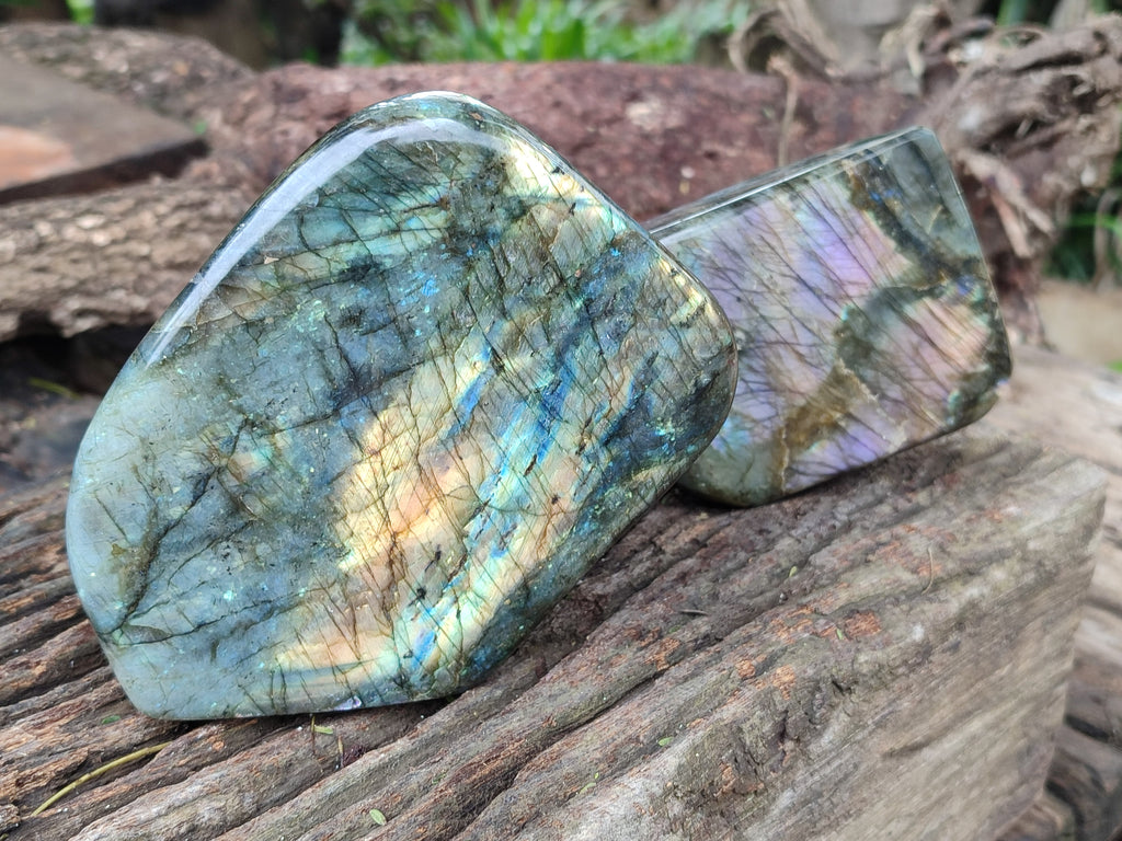 Polished Labradorite Standing Free Forms x 2 From Tulear, Madagascar - Toprock Gemstones and Minerals 