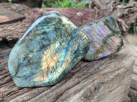 Polished Labradorite Standing Free Forms x 2 From Tulear, Madagascar