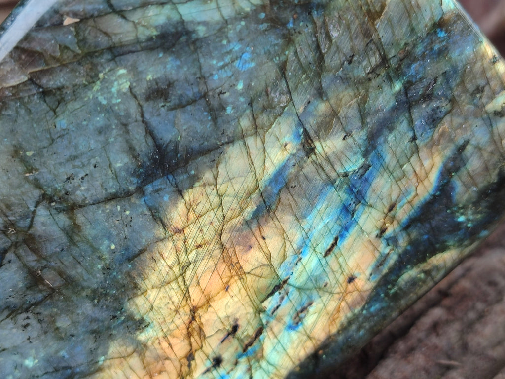Polished Labradorite Standing Free Forms x 2 From Tulear, Madagascar - Toprock Gemstones and Minerals 
