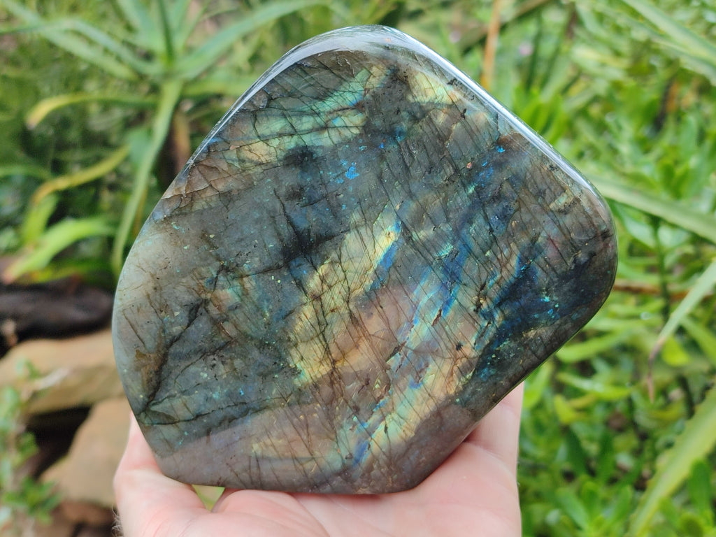 Polished Labradorite Standing Free Forms x 2 From Tulear, Madagascar - Toprock Gemstones and Minerals 