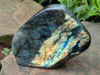 Polished Labradorite Standing Free Forms x 2 From Tulear, Madagascar