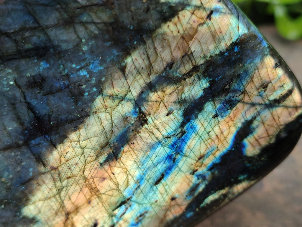 Polished Labradorite Standing Free Forms x 2 From Tulear, Madagascar - Toprock Gemstones and Minerals 