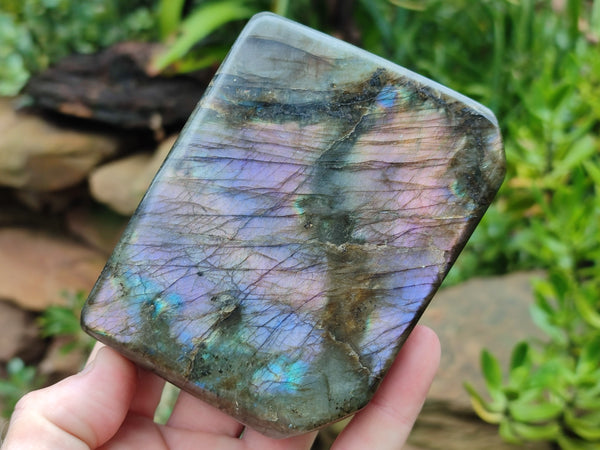 Polished Labradorite Standing Free Forms x 2 From Tulear, Madagascar