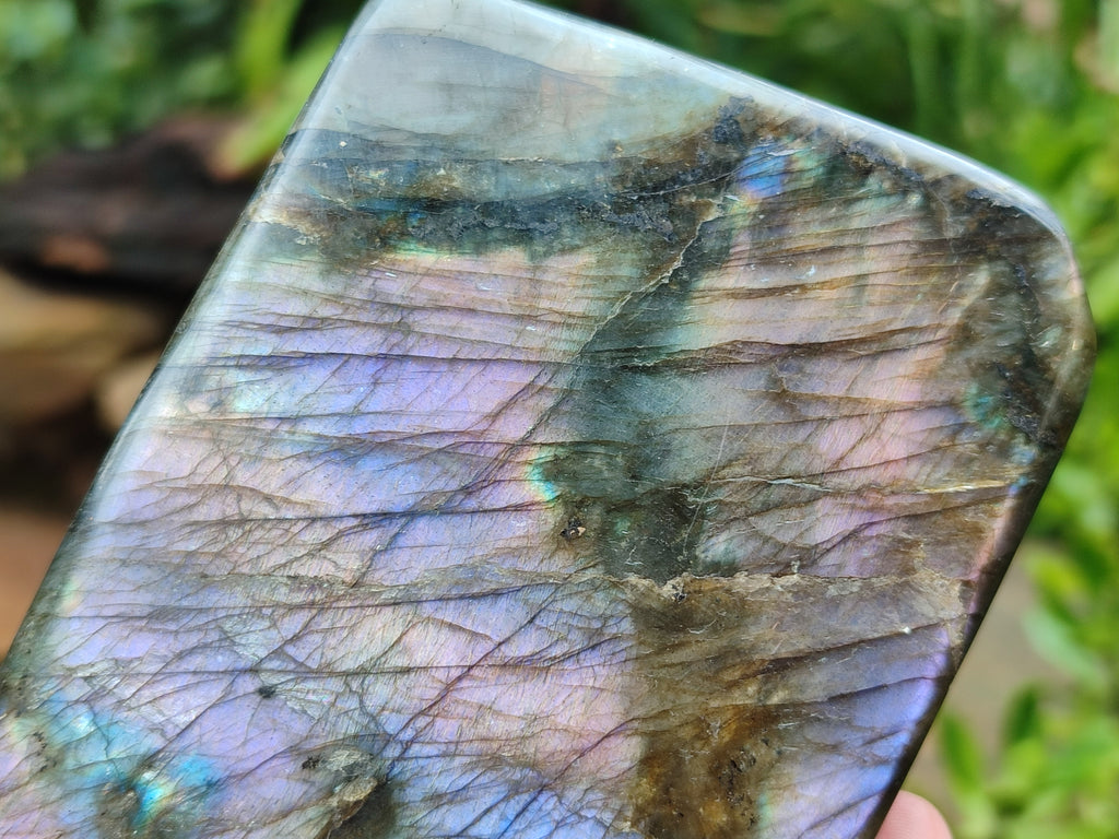 Polished Labradorite Standing Free Forms x 2 From Tulear, Madagascar - Toprock Gemstones and Minerals 
