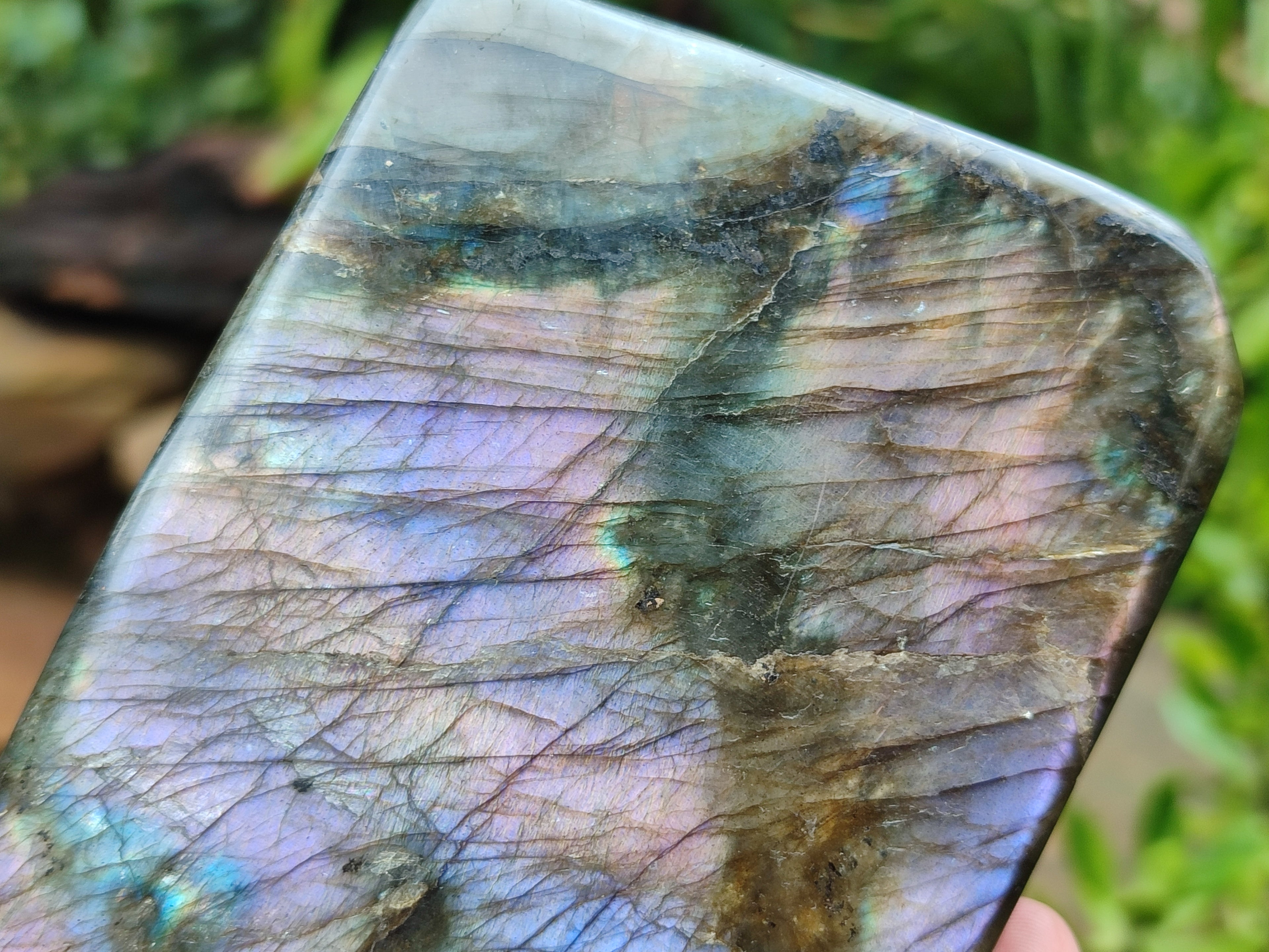 Polished Labradorite Standing Free Forms x 2 From Tulear, Madagascar - Toprock Gemstones and Minerals 