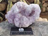 Natural Jacaranda Amethyst Quartz Cluster x 2 From Mumbwa, Zambia