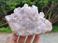 Natural Jacaranda Amethyst Quartz Cluster x 2 From Mumbwa, Zambia