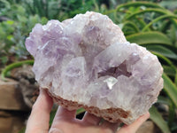 Natural Jacaranda Amethyst Quartz Cluster x 2 From Mumbwa, Zambia