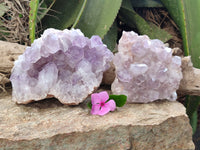 Natural Jacaranda Amethyst Quartz Cluster x 2 From Mumbwa, Zambia