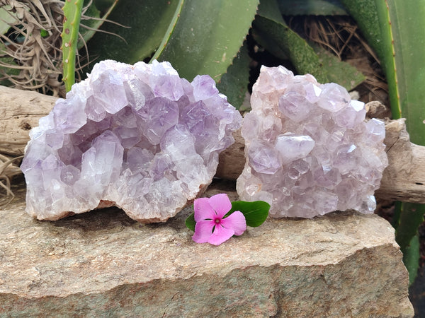 Natural Jacaranda Amethyst Quartz Cluster x 2 From Mumbwa, Zambia