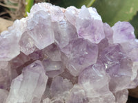 Natural Jacaranda Amethyst Quartz Cluster x 2 From Mumbwa, Zambia