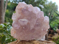 Natural Jacaranda Amethyst Quartz Cluster x 2 From Mumbwa, Zambia
