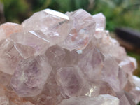 Natural Jacaranda Amethyst Quartz Cluster x 2 From Mumbwa, Zambia