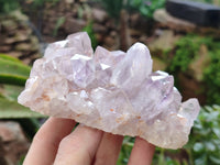 Natural Jacaranda Amethyst Quartz Cluster x 2 From Mumbwa, Zambia