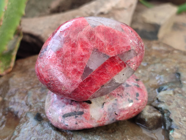 Polished Rhodonite Free Forms x 6 From Rhusinga, Zimbabwe