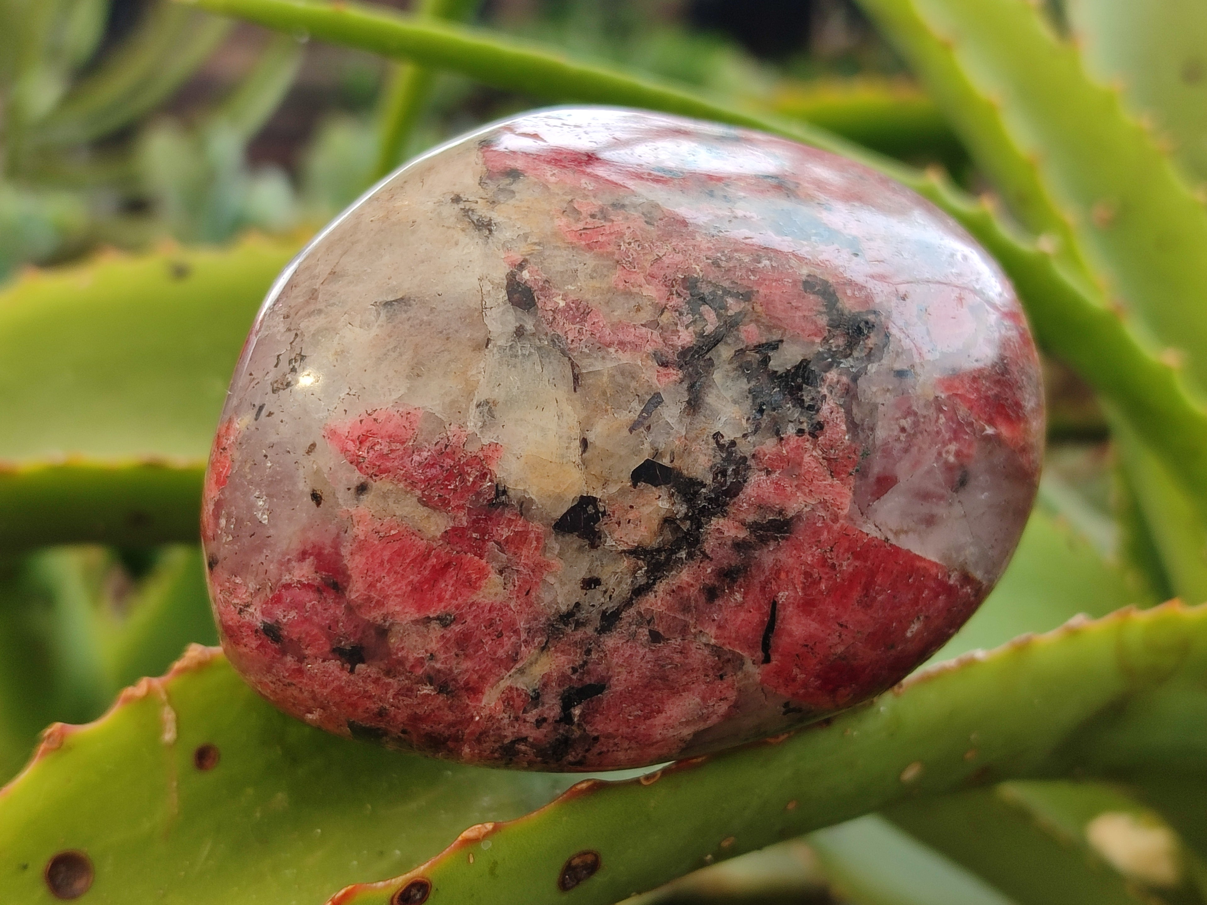 Polished Rhodonite Free Forms x 6 From Rhusinga, Zimbabwe - Toprock Gemstones and Minerals 