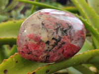 Polished Rhodonite Free Forms x 6 From Rhusinga, Zimbabwe