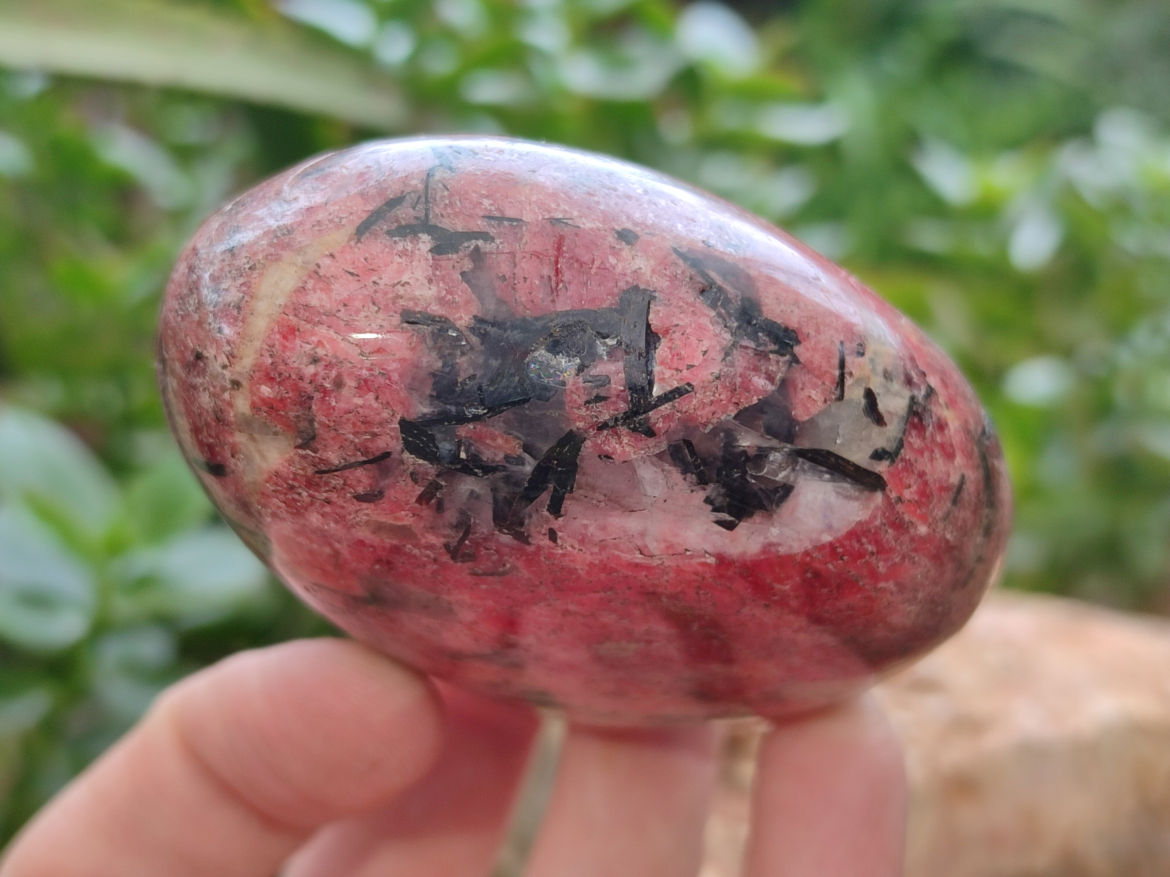 Polished Rhodonite Free Forms x 6 From Rhusinga, Zimbabwe - Toprock Gemstones and Minerals 