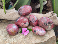Polished Rhodonite Free Forms x 6 From Rhusinga, Zimbabwe