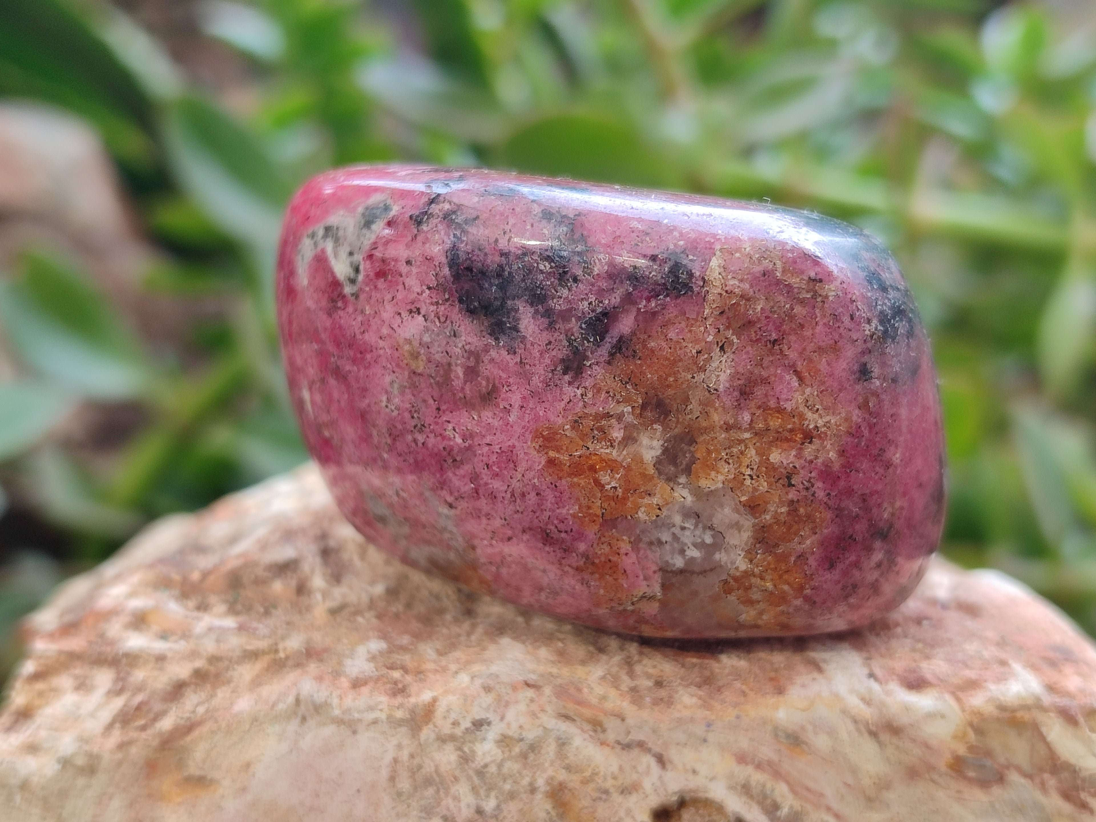 Polished Rhodonite Free Forms x 6 From Rhusinga, Zimbabwe - Toprock Gemstones and Minerals 
