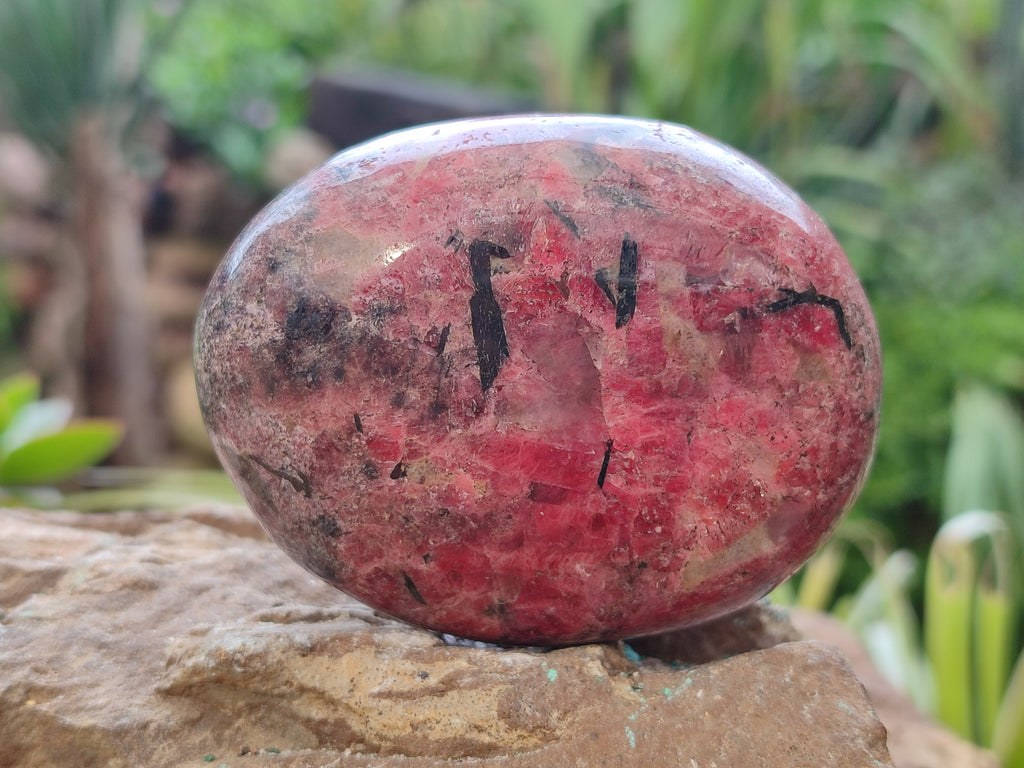Polished Rhodonite Free Forms x 6 From Rhusinga, Zimbabwe - Toprock Gemstones and Minerals 