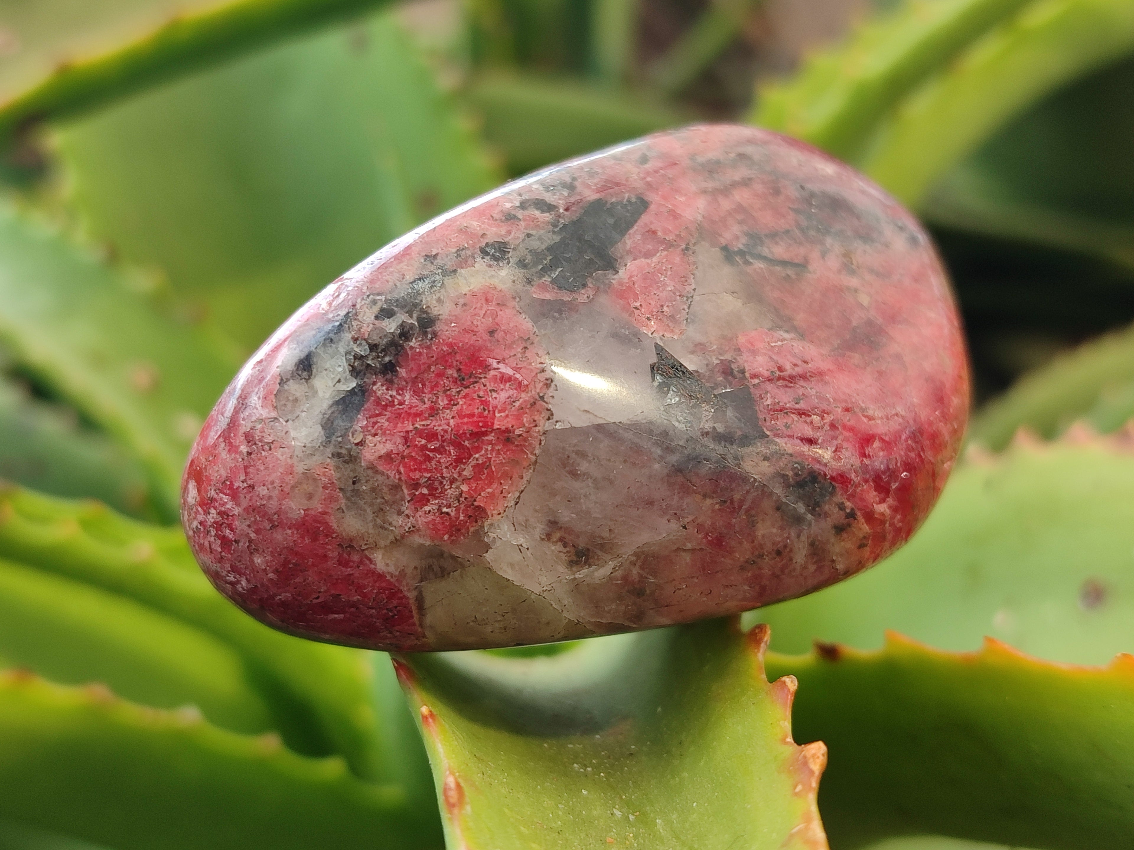 Polished Rhodonite Free Forms x 6 From Rhusinga, Zimbabwe - Toprock Gemstones and Minerals 