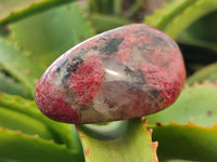 Polished Rhodonite Free Forms x 6 From Rhusinga, Zimbabwe