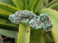 Natural Emerald Mica In Matrix Cobbed Specimens x 2.31 Kg Lot From Mutoko, Zimbabwe