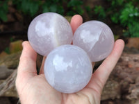 Polished Blue Girasol Rose Quartz Spheres x 5 From Madagascar
