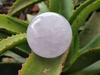 Polished Blue Girasol Rose Quartz Spheres x 5 From Madagascar