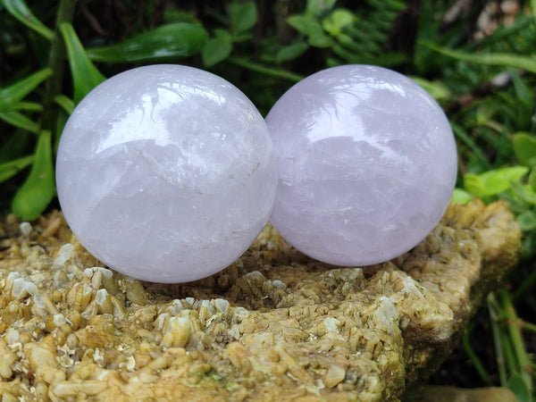 Polished Blue Girasol Rose Quartz Spheres x 5 From Madagascar