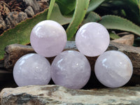 Polished Blue Girasol Rose Quartz Spheres x 5 From Madagascar